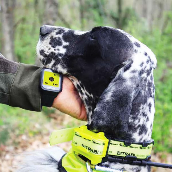 Smartwatch Reloj Hunter BITRABI