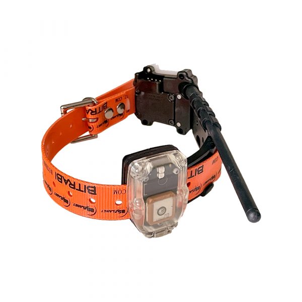 Collar para perros de caza MITO 5300 BITRABI