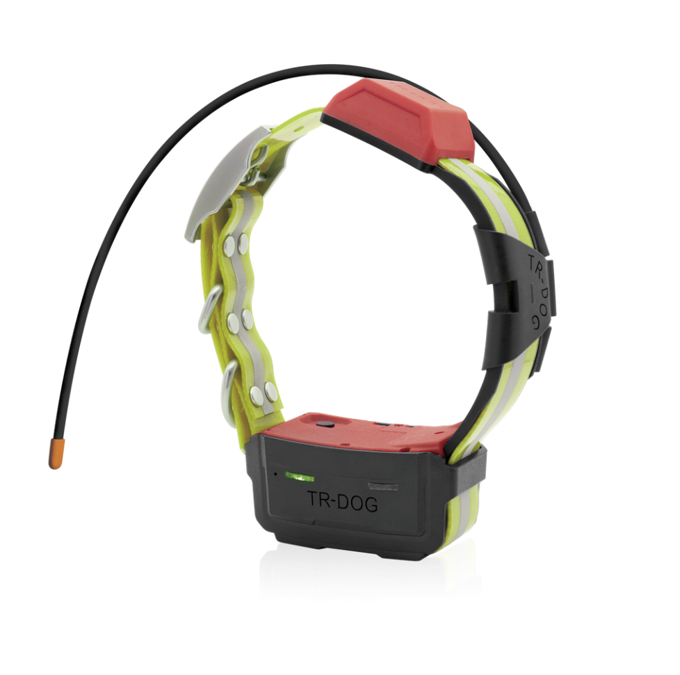 COLLAR IOCUS NOVA COLLAR IOCUS NOVA