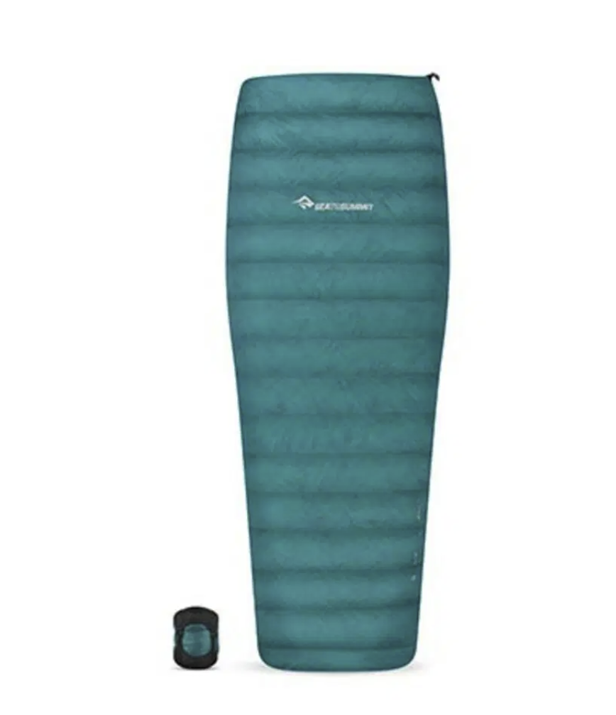 Saco de dormir Sea to Summit Traveller TrII