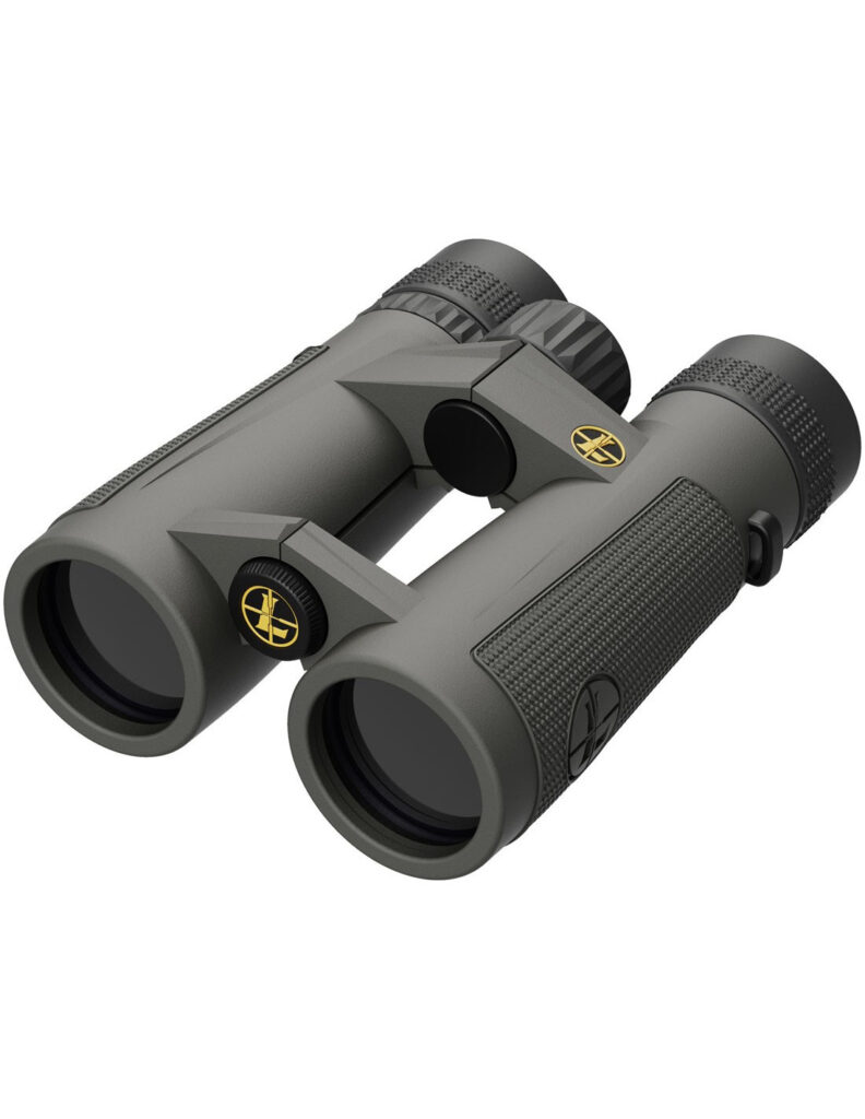 Prismático LEUPOLD BX-5 Santiam HD - 10x42